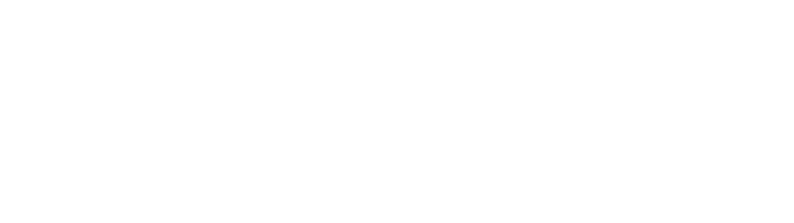 jumbo logo supermarkt wit